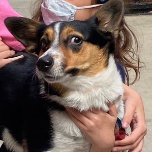 Meet your Posher, Elle